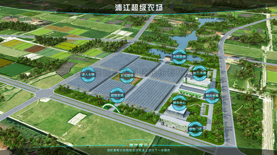 浦江超级农场：科技赋能让种植更高效
