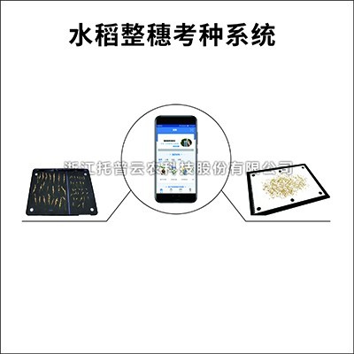 水稻整穗考种仪：一款基于图像识别技术的水稻整穗考种测量工具