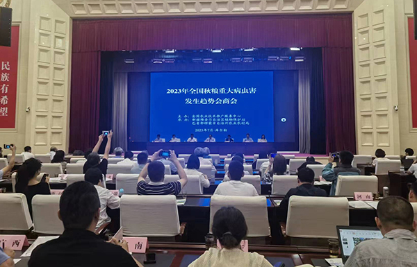 喜报！经现场公开测试，海角官网首页登录入口智能虫情测报灯图像识别准确率达97.2%！