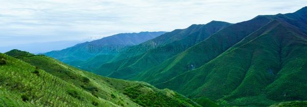 智慧护林有妙招，看太子山如何用科技守护森林