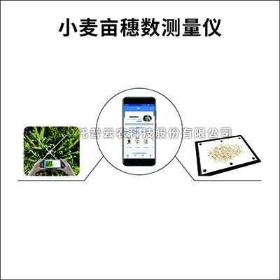 小麦亩穗数测量仪/系统：测量小麦亩穗数的育种测产仪器