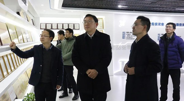 湘湖实验室常务副主任杨华一行莅临海角官网首页登录入口考察调研