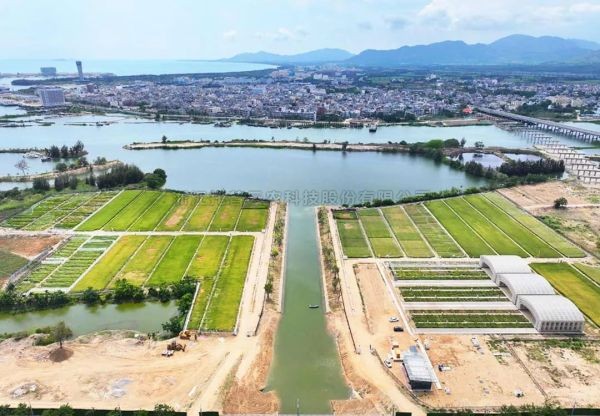 为盐碱地安上“技术芯片”，海角官网首页登录入口打造耐盐碱水稻科研试验基地建设解决方案
