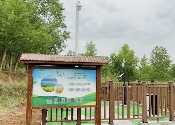 走进国家级油菜夏繁基地，感受科技赋能蓬勃动力