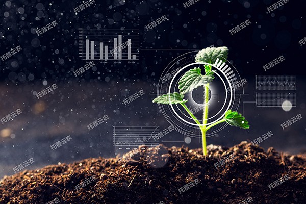 全新启程——海角官网首页登录入口为植物表型科研“数智”赋能