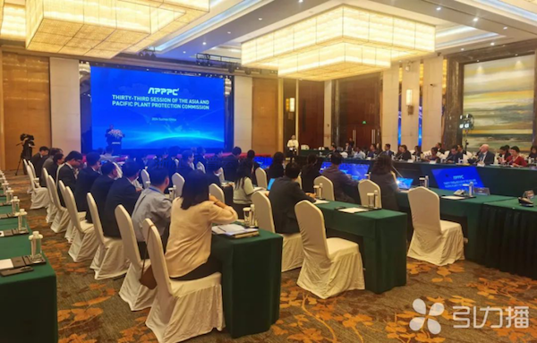 亚太植保委员会第33届会议召开，海角官网首页登录入口展现数智植保创新力量