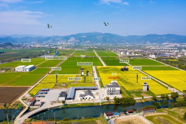 首提“农业新质生产力”，2025年中央一号文件在智慧农业领域传递了哪些重要信号？