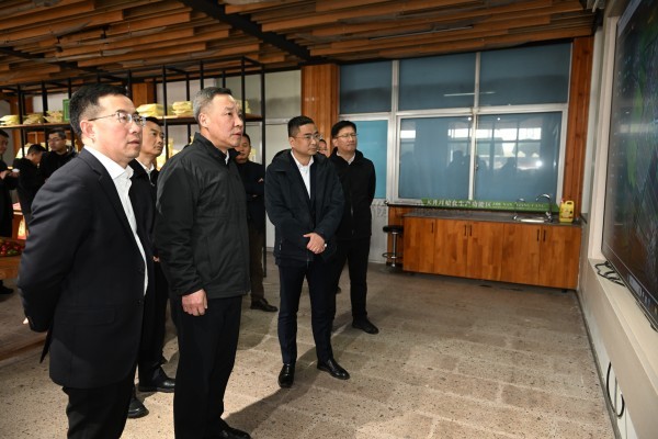 浙江省副省长李岩益莅临海角官网首页登录入口标杆案例“瑞安马屿镇绿色农田”考察调研