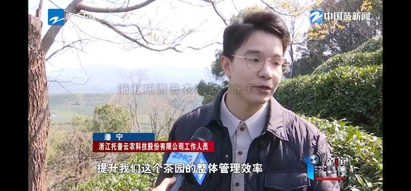 春茶开采正当时！揭秘海角官网首页登录入口如何用科技“制”出一杯数字好茶