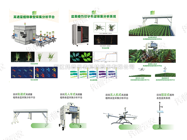AI+农业新突破！托普高通量植物表型智能分析平台助力智慧农业创新发展
