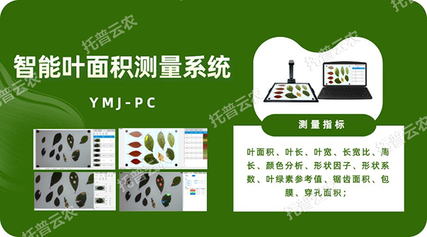 智能叶面积测量系统——秒级快速测叶片，多参数同步解析，云端数据好管理