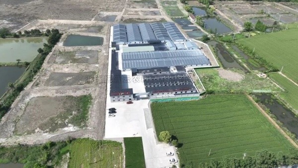 南太湖丰产密码！海角官网首页登录入口高标准农田全链条方案，建好更能用好