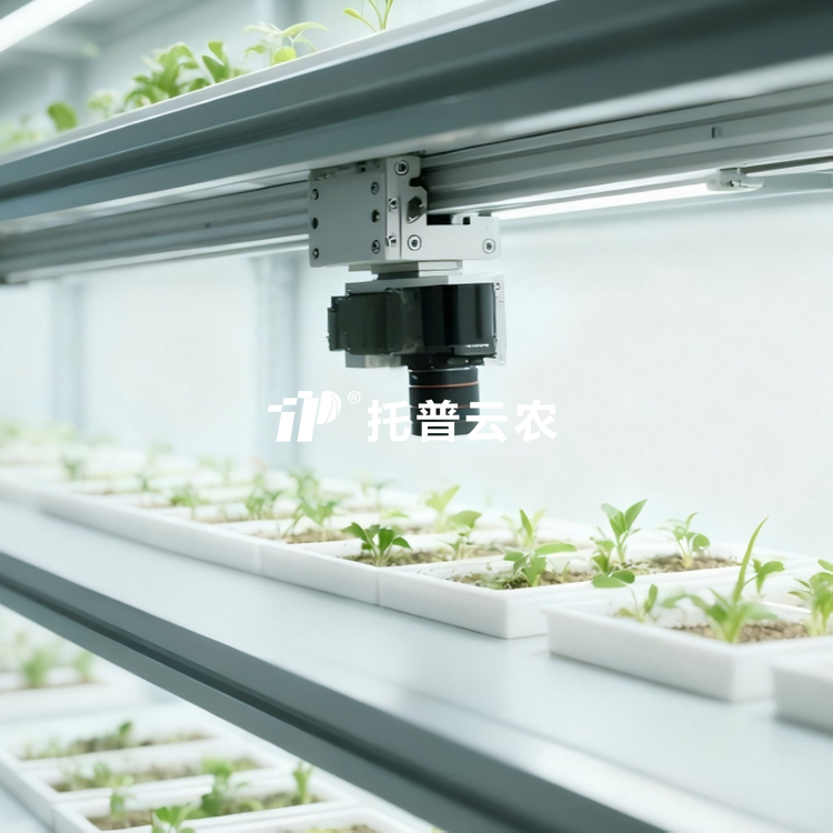 室内海角社区下载萌发表型监测系统TP-SeedPhy