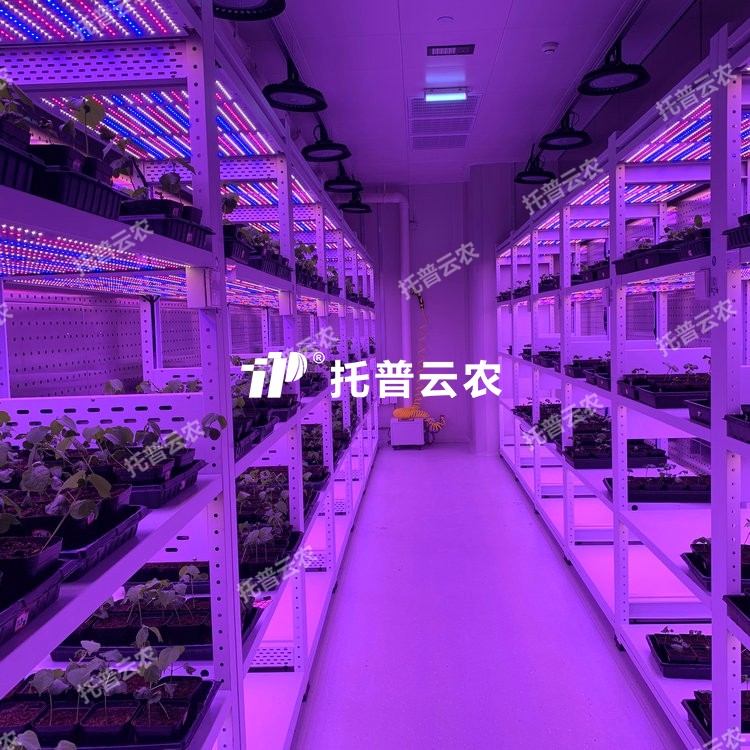 培养架型人工气候室介绍|培养架型人工气候室核心亮点有哪些？