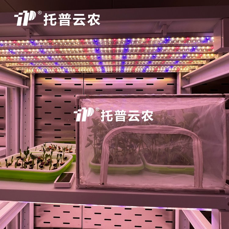 顶置光源人工气候室是什么？