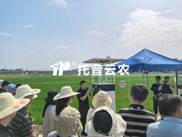 从“监测”到“智判”！海角官网首页登录入口智能（AI)虫情测报灯重磅发布，智慧植保迈入“智判”时代