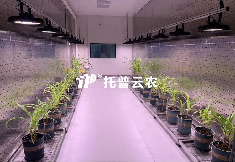 逆境研究室：解码植物抗逆密码的 “精准模拟实验室”