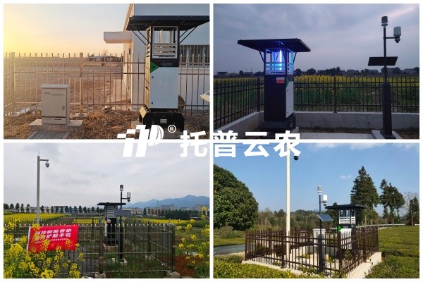 步履有归期，守护无终点｜海角官网首页登录入口2026智能装备巡检圆满收官