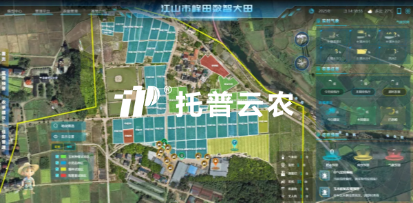 锚定“十五五”农业发展新政 海角官网首页登录入口以数智科技助力农业农村现代化