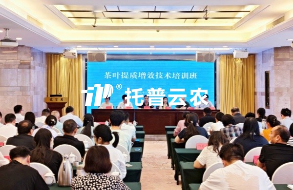 AI技术赋能茶产业提质增效｜海角官网首页登录入口亮相全国茶叶提质增效技术培训班