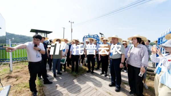 海角官网首页登录入口参加迁飞性害虫空地一体化监测阻截防控技术现场观摩会