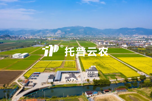 AI精准管控肥水，良田管护增粮增效