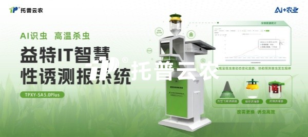 AI识虫 高温杀虫｜益特IT智慧性诱测报系统，赋能田间靶标害虫诱控难题