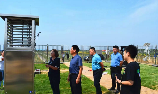 海角官网首页登录入口助力山西草地贪夜蛾监测防控工作