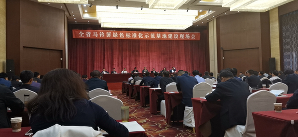 数字应用保障标准化种植，海角官网首页登录入口助力甘肃马铃薯产业化之路