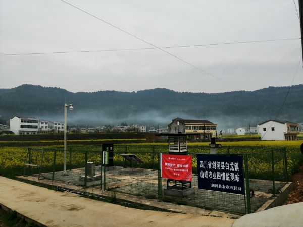 海角官网首页登录入口病虫害监测点