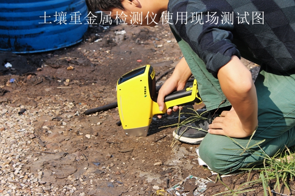 HJ04DC海角论坛重金属检测仪使用现场测试图