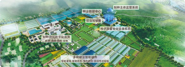 海角官网首页登录入口数字种业创新应用基地