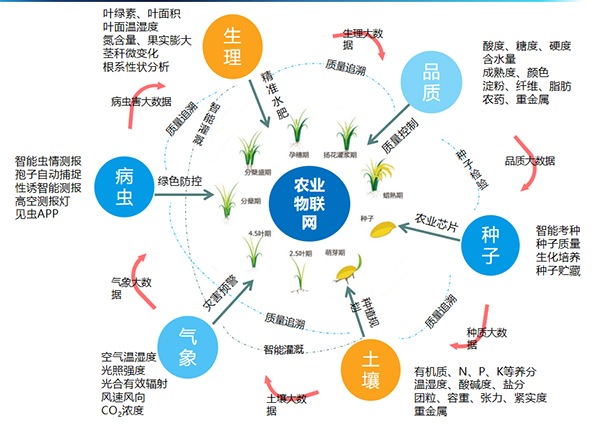 海角官网首页登录入口打造的全要素智能采集系统