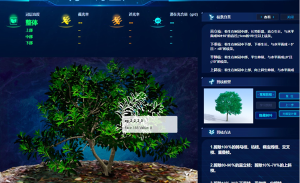 “云”上种颗杨梅树，农户照着养杨梅