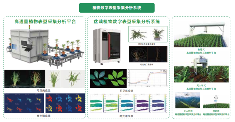 图片25.png