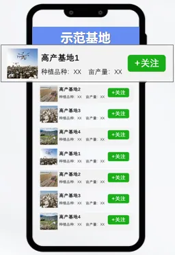 图片5_副本.png