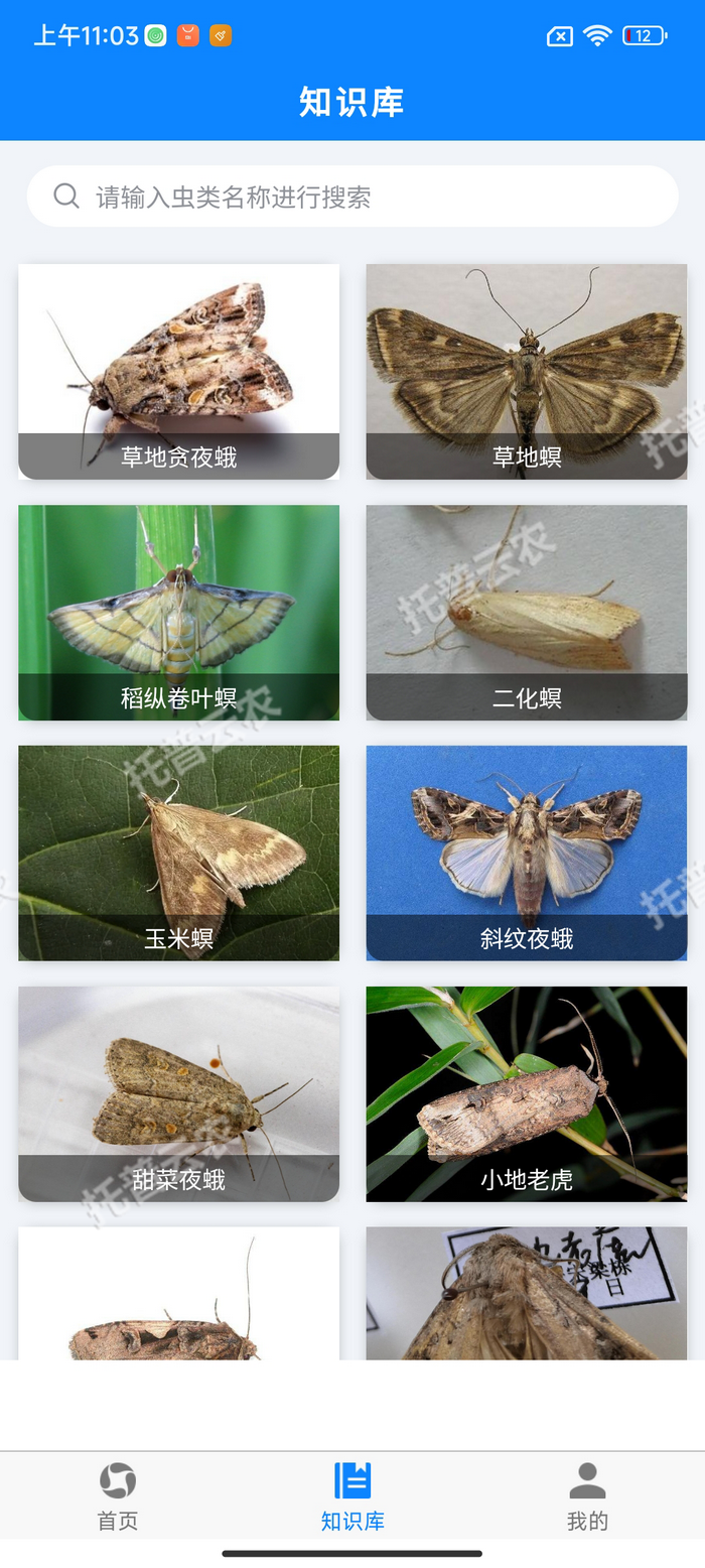 5、害虫知识库.png