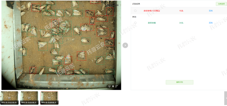 智能识别计数.png