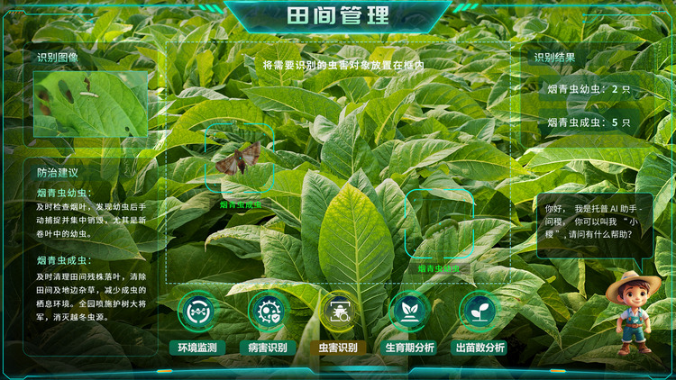 烟草虫害识别.png