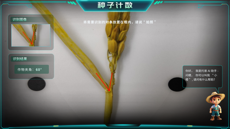 作物夹角.png