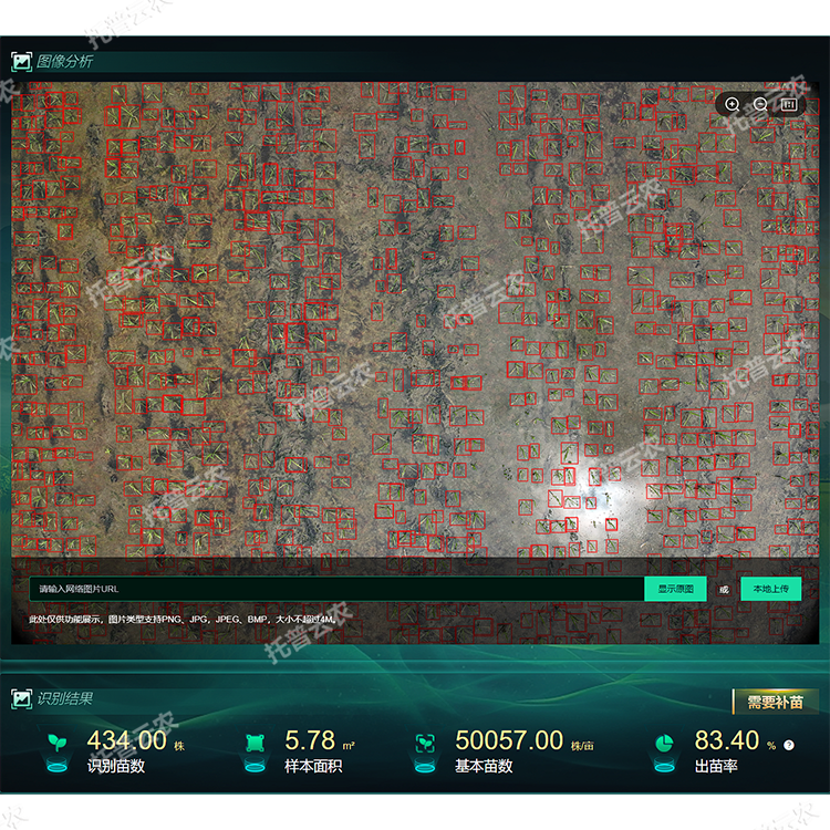 2.png