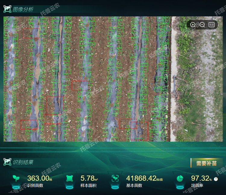 出，苗率.png