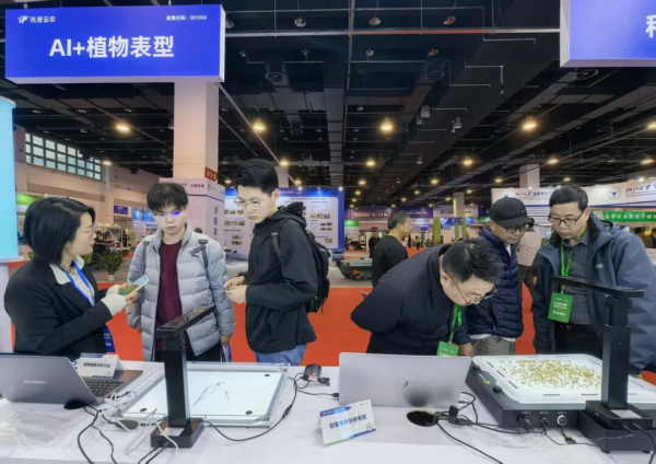 图片8_副本.png